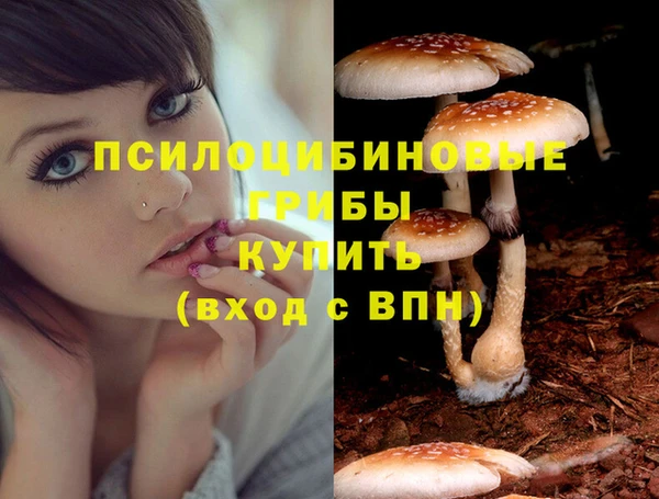 мефедрон мука Новозыбков