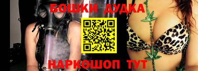 индика Абакан