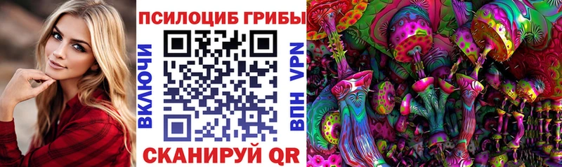 Псилоцибиновые грибы GOLDEN TEACHER  Апшеронск 