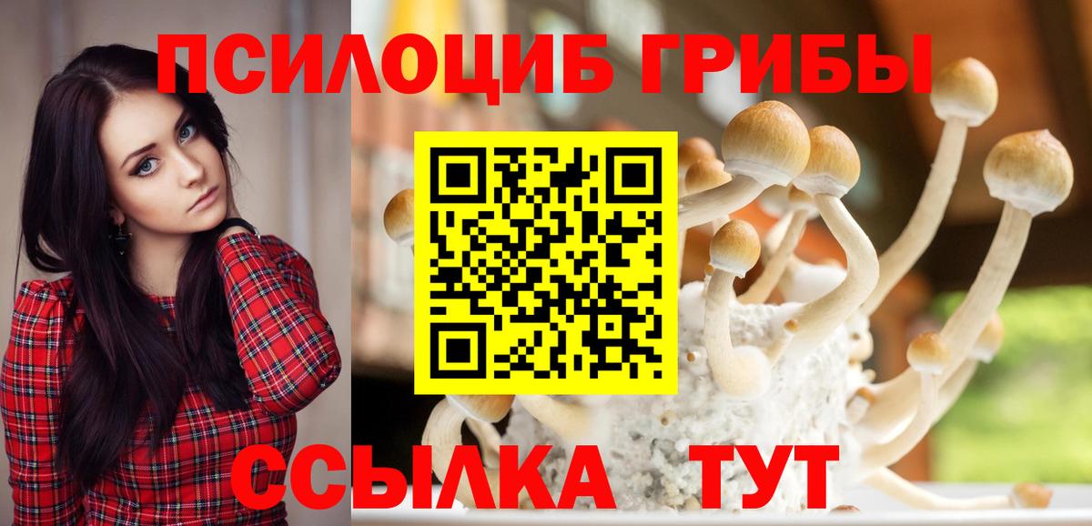 Галлюциногенные грибы ЛСД Апшеронск