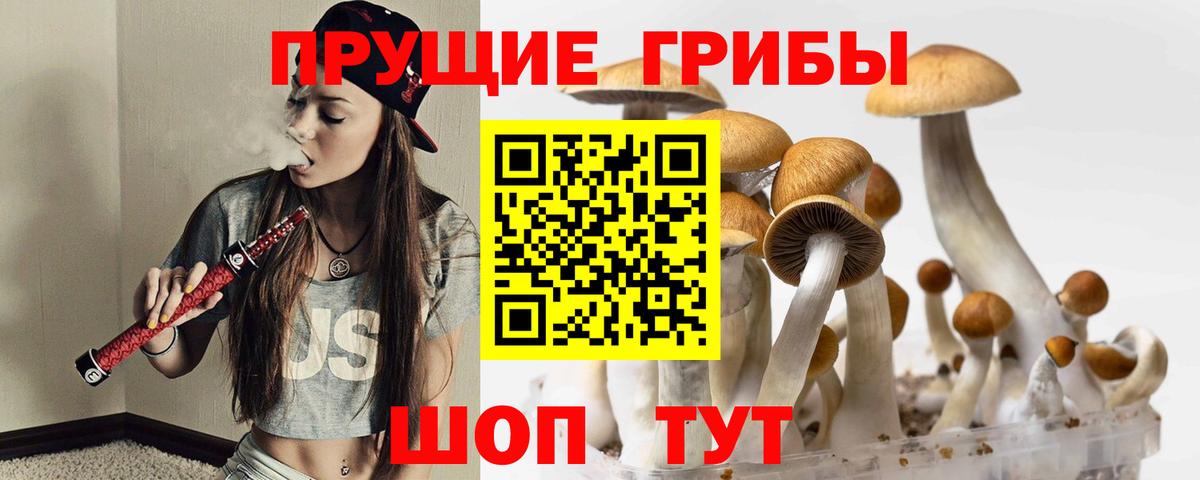 Галлюциногенные грибы мицелий  Галлюциногенные грибы MAGIC MUSHROOMS  Апшеронск  Вход с VPN 