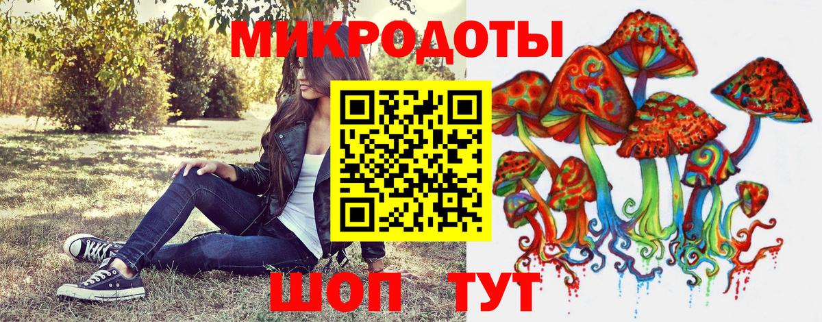 Галлюциногенные грибы Cubensis  купить   Галлюциногенные грибы Magic Shrooms  Апшеронск 